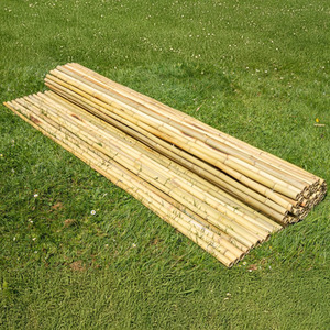 Premium Thick Bamboo Screening Roll White