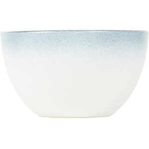 Ombre Textured Bowl