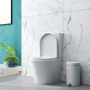 Rimless Close Coupled Toilet Soft Close Seat Pan Cistern WC 610*360*845