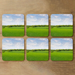 Summer landscape in the distance Designer Coaster Set