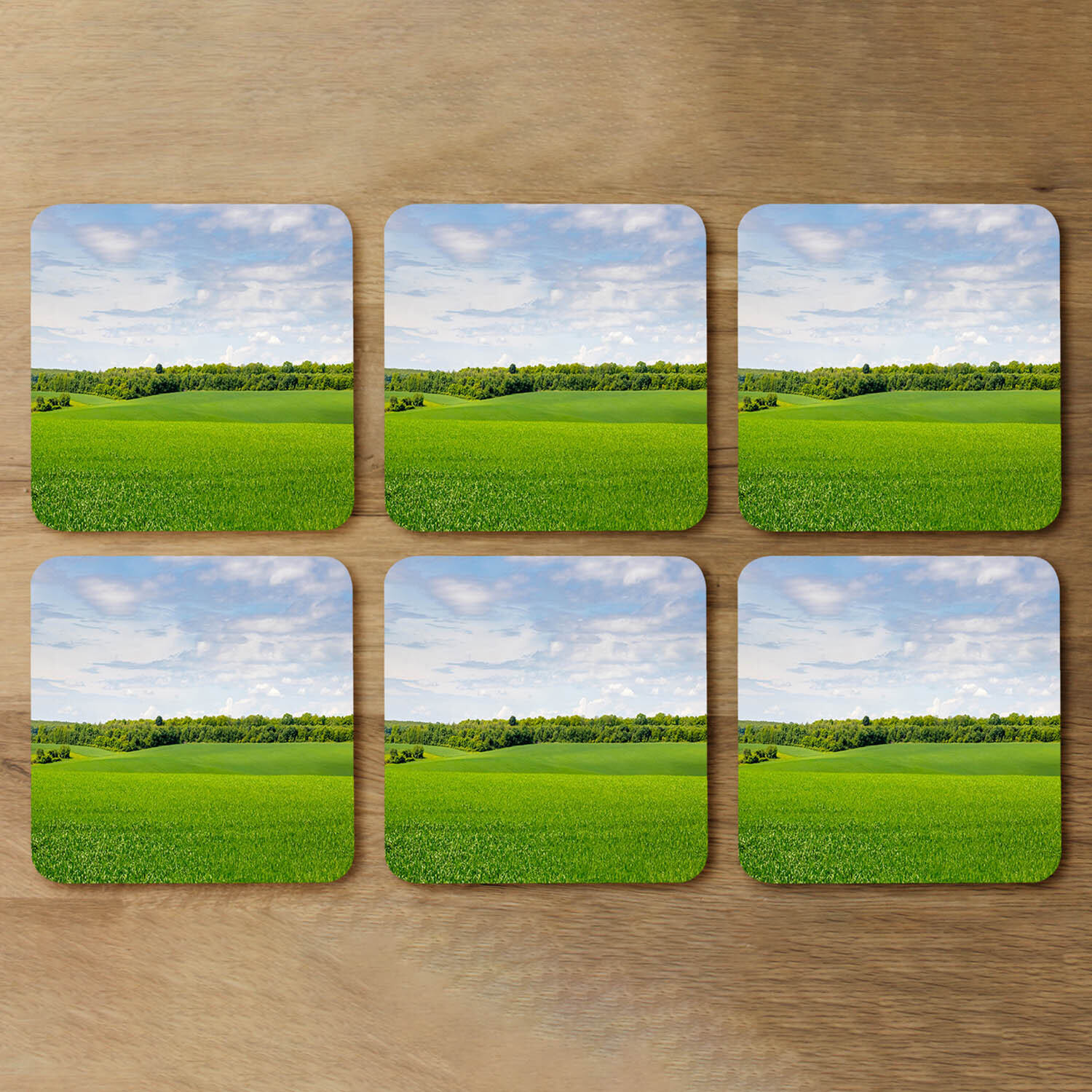 Summer landscape in the distance Designer Coaster Set - Green