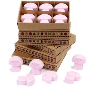 Box of 6 Wax Melts Ylang Ylang