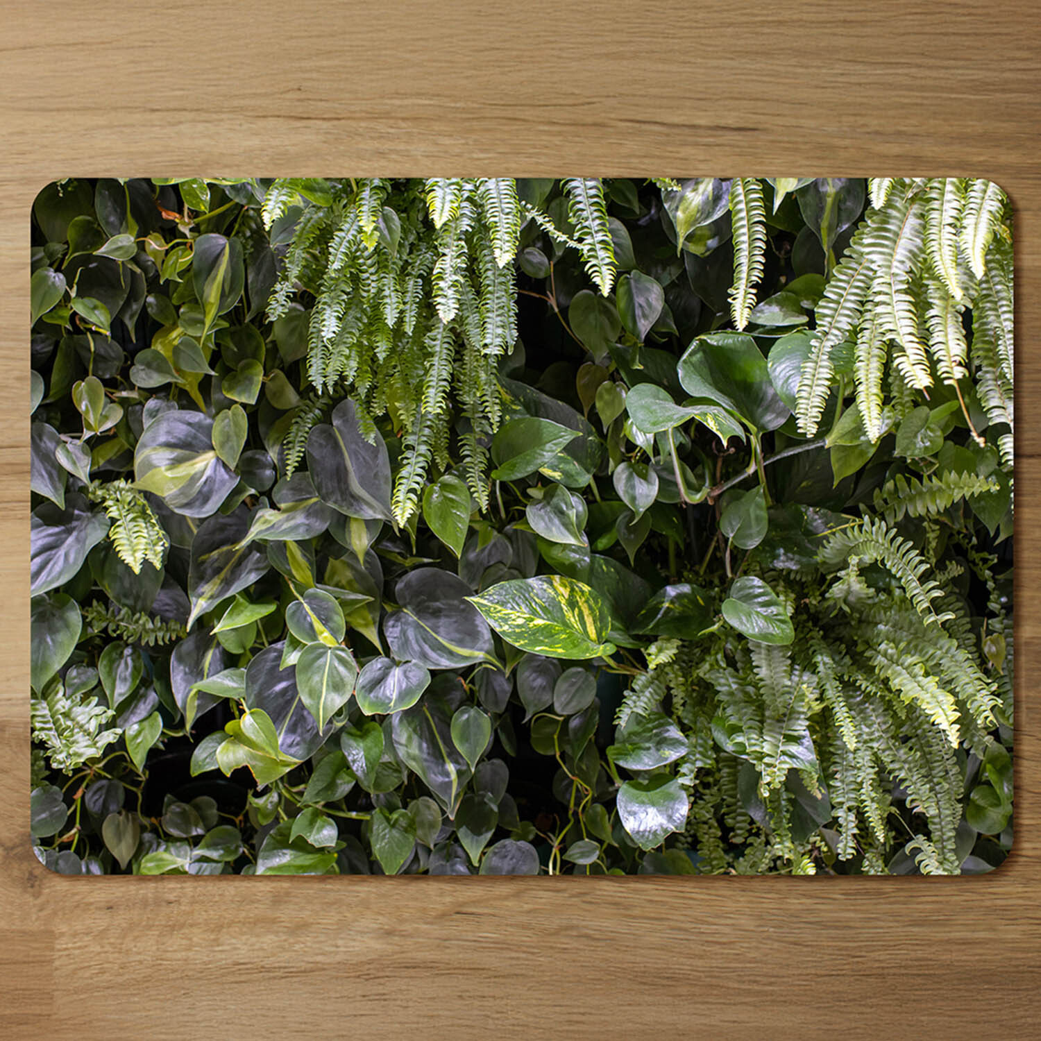 urban jungle, modern interior decoration Designer Placemat Set - Green