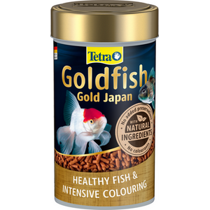 Tetra Goldfish Gold Japan