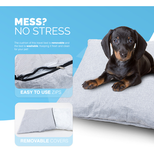 FURDREAMS Cosy Travel Pet Bed & Car Seat Booster - Removable Cushion, Straps