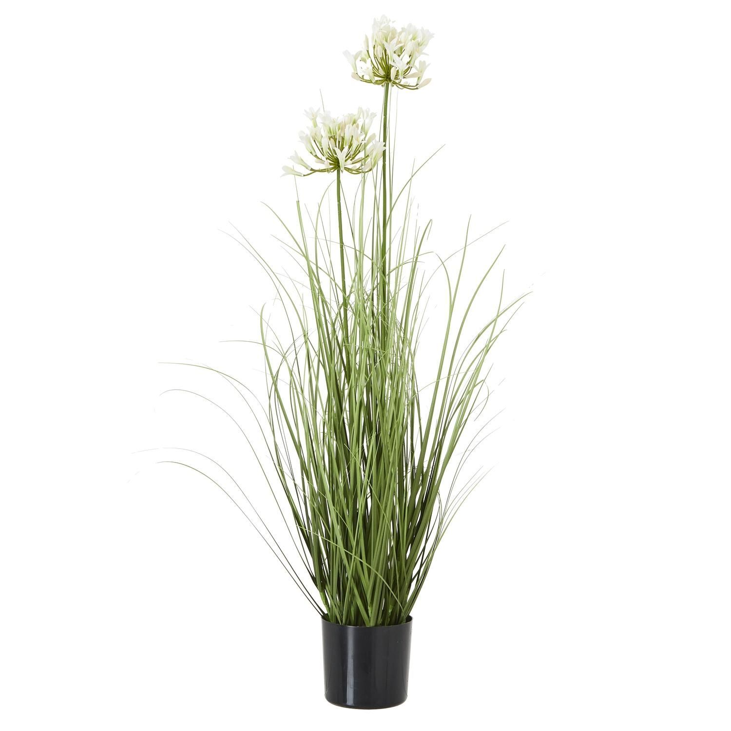 Hill Interiors Agapanthus Plant Pot - White/Green