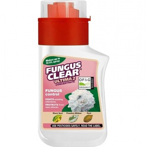Fungus Clear Concentrate 210m