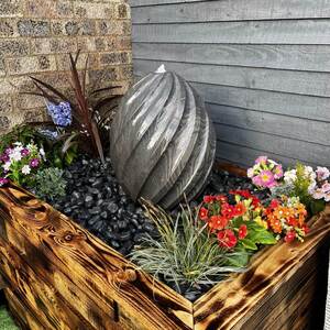  shot 16093219