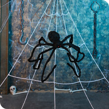 spider halloween