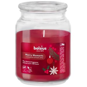 Bolsius True Glow Merry Moments Fragrance Candle