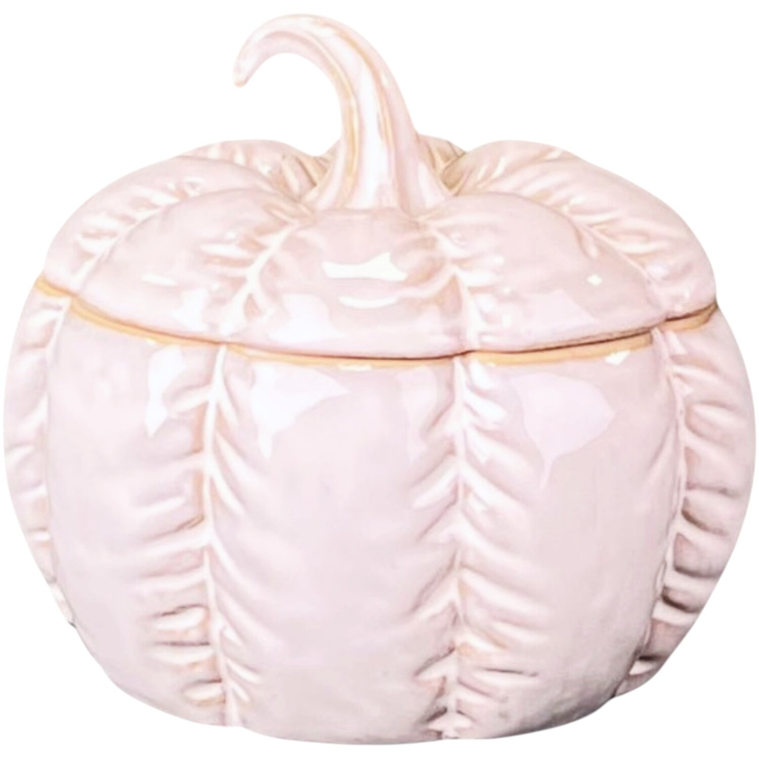 - Satchville Glazed Ceramic Pumpkin Jar With Textured Detail - Image 2