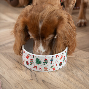Festive Pet Bowl