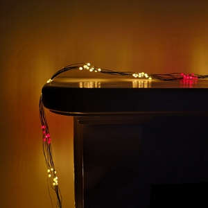  shot 20616634