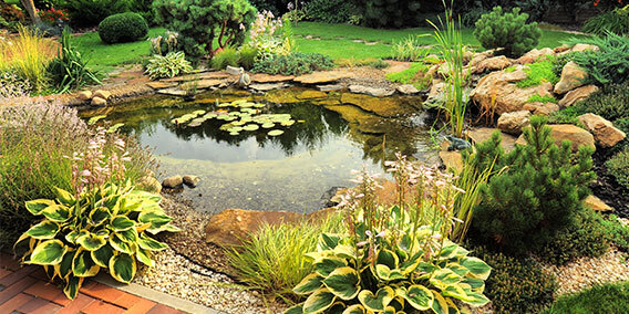 fish pond accessories uk PondXpert Protectors Floating Rings PXPPROT wetland filter Pond Equipment - what does
