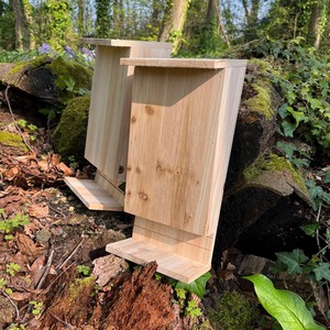  shot 2950503