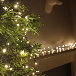 Indoor and Outdoor Lights with LEDs in Warm with Timer