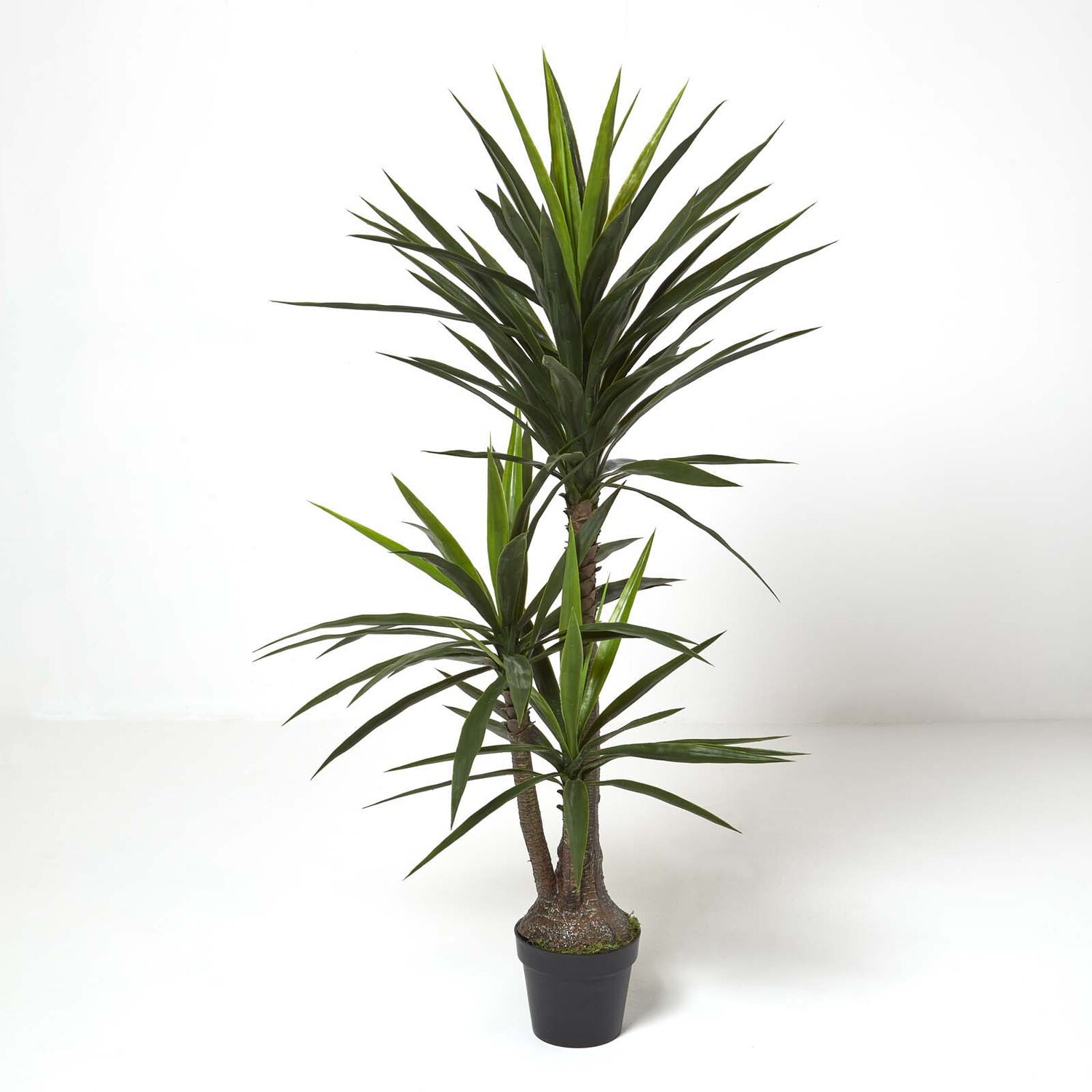Homescapes Yucca Tree in Pot, 150 cm Tall - Green