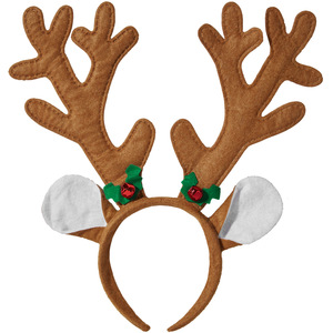 Reindeer Antlers