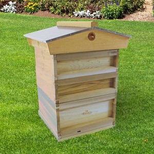 National Pine Bee Hive Starter Kit 67715