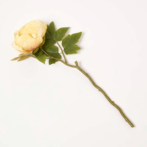 Artificial Stem of Dried Peony Flowers, 48 cm