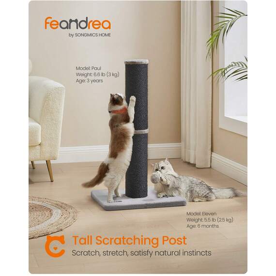 Feandrea Cat Scratching Post with Spring Pompom