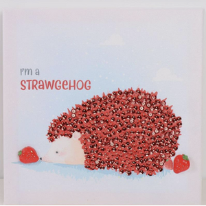 Strawberry Hedgehog Sequin Embroidery Wall Art Kit