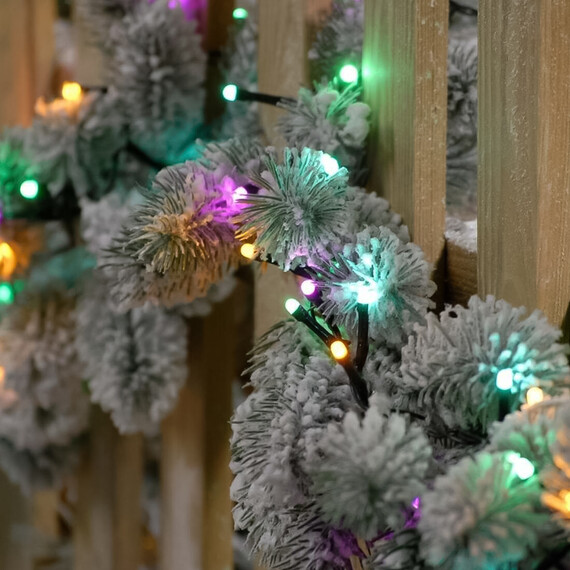 Glow-worm lights - Aurora