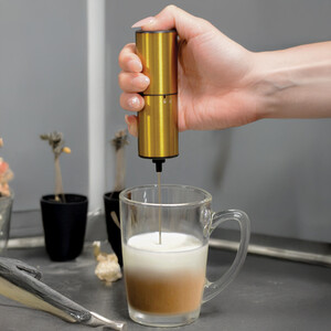 Hand-Held Milk Frother