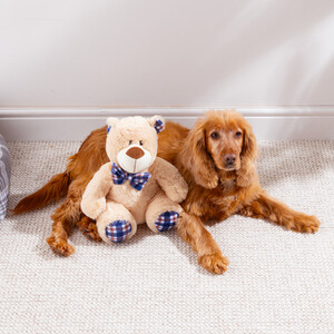 Clever Paws Large Teddy Dog Toy