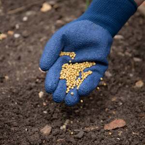 Concentrated Slow Release Vegetable Feed Granules