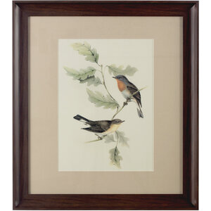 Framed Birds 1 Wall Art