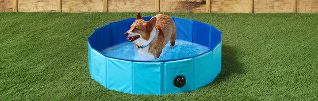 pet cooling