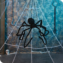 Halloween Spiders & Webs