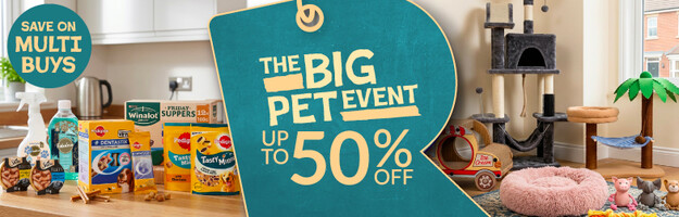 pet event pets