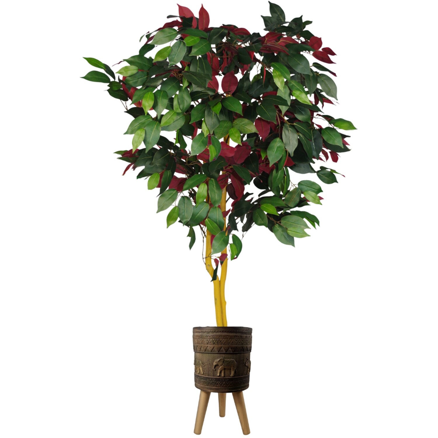Pegdev 120cm Capensia Ficus Tree in Elephant Planter for Home or Office