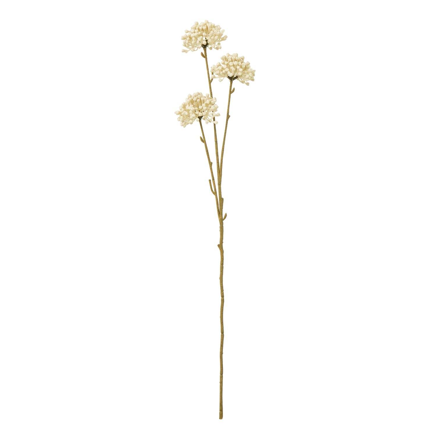 Sostter Cream Faux Allium Flower Stem in Beige - Image 3