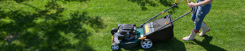 Curated visual reference: Gallery Detail: Lawn Care