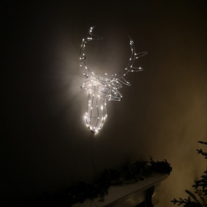  shot 2412302
