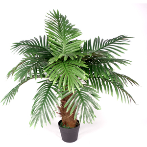 Palm Tree Brown Trunk