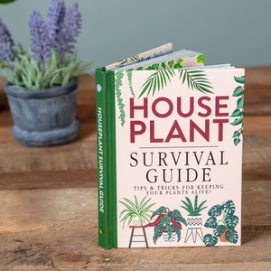 Houseplant Survival Guide - Tips and Tricks