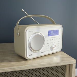 Spitalfields DAB Portable Radio with Rechargeable Battery and Bluetooth