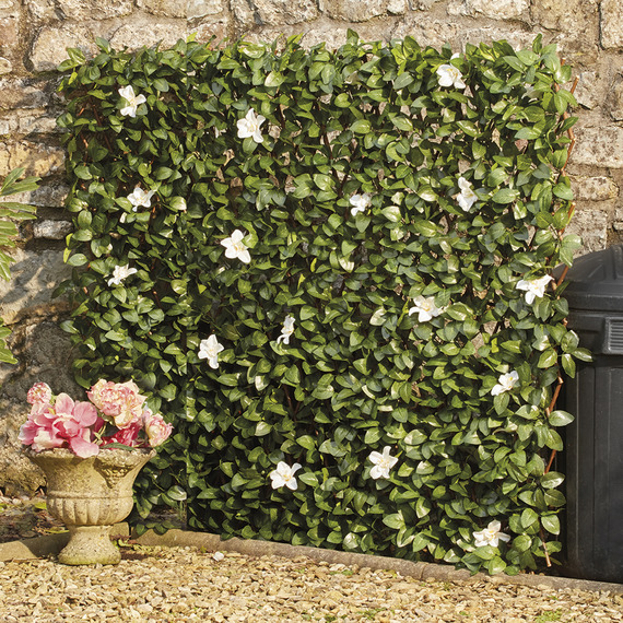 Artificial White Flower Hedge Trellis