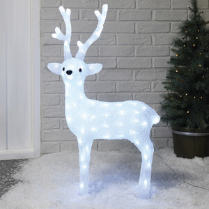 Acrylic Stag
