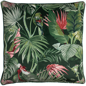 Amazon Creatures Tropical Cushion