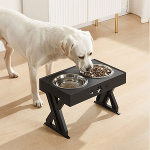 Paw Print Dual Dog Bowl with Adjustable Height