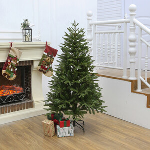 Ashford Fir Tree