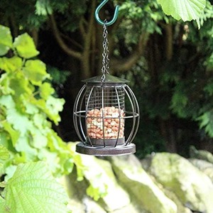 Hanging Wild Bird Feeder Mini Lantern
