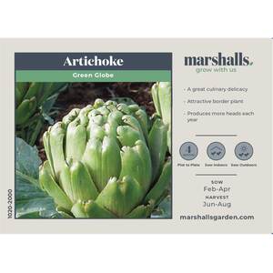 Marshalls Garden Green Globe Artichoke Seeds - Perennial, Hardy H4