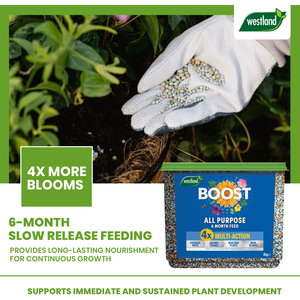 Plant Food