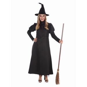 Bristol Novelty Womens/Ladies Wickedest Witch Costume